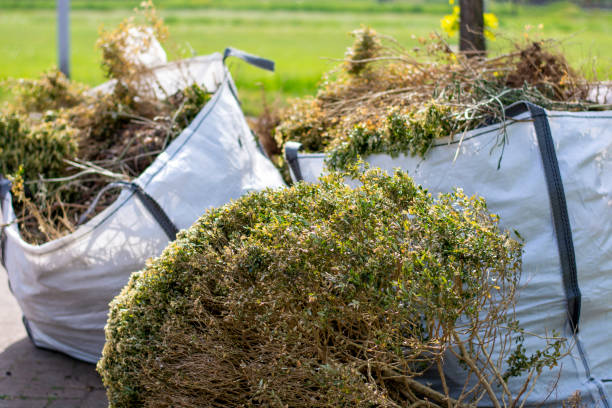Best Same-Day Junk Removal  in Somers Point, NJ
